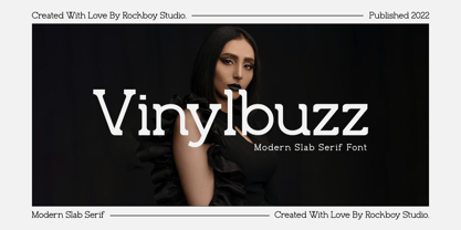 Vinylbuzz Font Poster 1