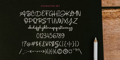 Radiant Brush Font Poster 12