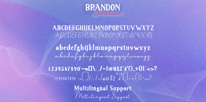Brandon Selection Font Poster 6