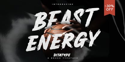 Beast Energy Font Poster 1