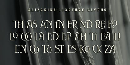 Alizarine Font Poster 6