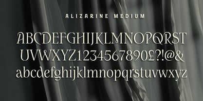 Alizarine Font Poster 4
