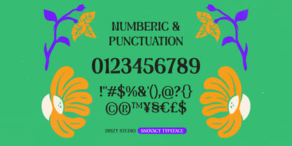 Snovacy Font Poster 5