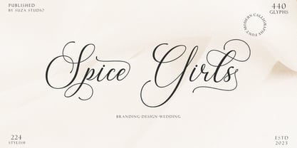 Spice Girls Font Poster 1