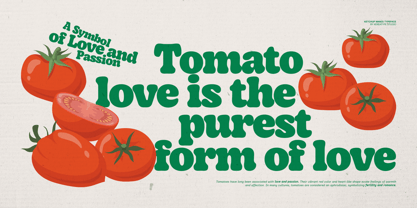 Ketchup Manis Font Poster 14