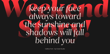 Calibra Font Poster 7