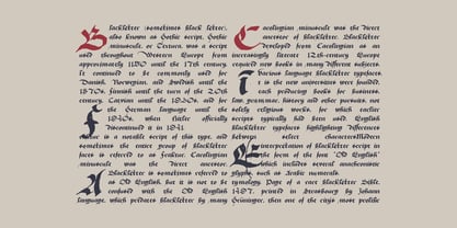 Duchy Of Burgundy Font Poster 7