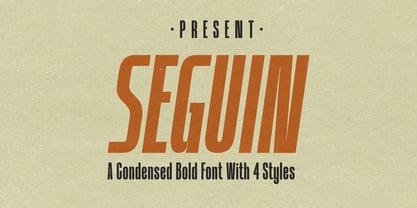 Seguin Pro Font Poster 1