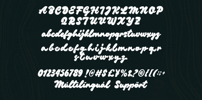 Chillink Font Poster 8