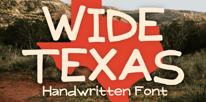 Wide Texas Fuente Póster 1