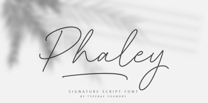 Phaley Font Poster 1