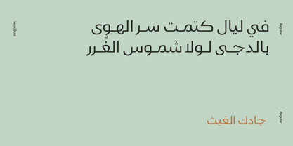 Gamila Arabic Font Poster 7
