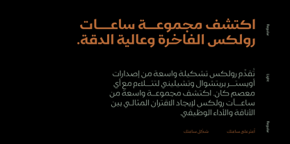 Gamila Arabic Font Poster 11