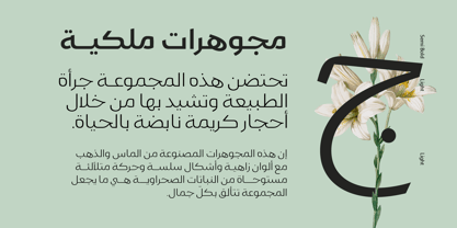 Gamila Arabic Font Poster 10