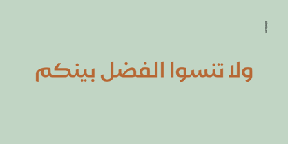 Gamila Arabic Font Poster 9