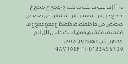 Gamila Arabic Font Poster 5