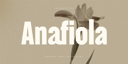 Anafiola Font Poster 1