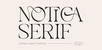 Notica Serif Police Poster 1