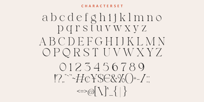 Notica Serif Font Poster 8