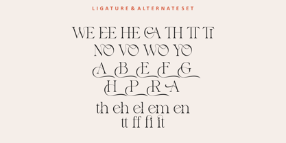 Notica Serif Font Poster 9