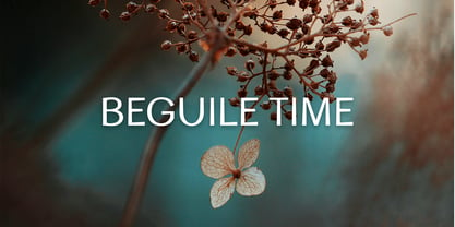 Beguile Time Font Poster 1