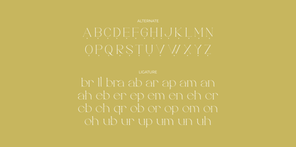 Brillant Brilliant Font | Webfont & Desktop | MyFonts