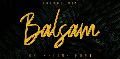 Balsam Font Poster 1