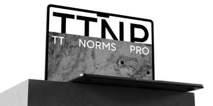 TT Norms Pro Police Poster 2