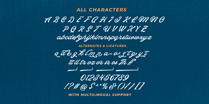 The Huncher Font Poster 8