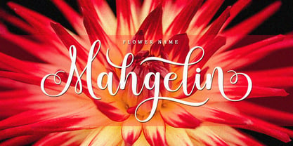 Besty Mahgelin Font Poster 9