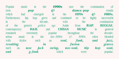 Behind The Nineties Font Poster 12