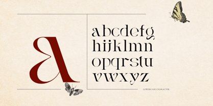 Vintage Agriqy Font Poster 4