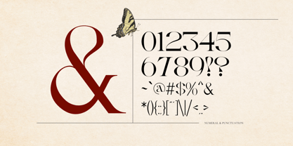 Vintage Agriqy Font Poster 5