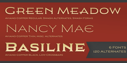 Aviano Copper Variable Font Poster 5