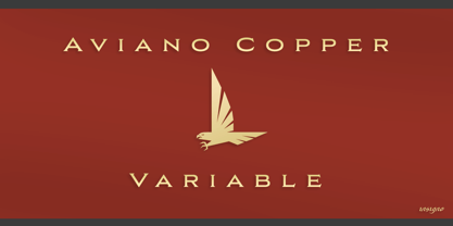 Aviano Copper Variable Font Poster 8