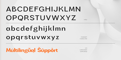 Noeva Font Poster 10