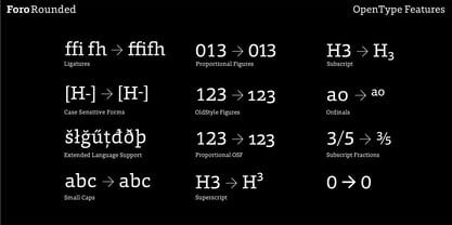 Foro Rounded Font Poster 14