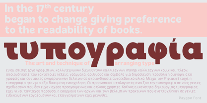 Paygon Font Poster 13