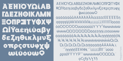 Paygon Font Poster 10