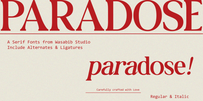 Ws Paradose Font Poster 1