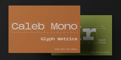 Caleb Mono Font | Webfont & Desktop | MyFonts