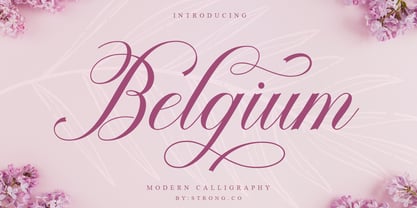 Belgium Script Font Poster 2