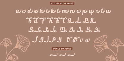 Bosnia Script Font Poster 10