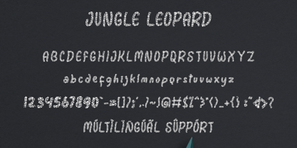 Jungle Leopard Font Poster 5