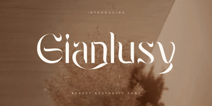 Gianlusy Font Poster 1