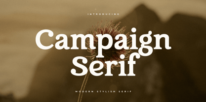Campaign Serif Font Poster 1