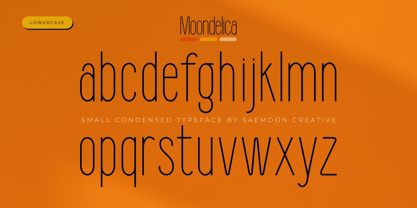 Moondelica Font Poster 2