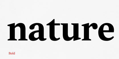 Textworthy Serif Fuente Póster 5