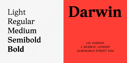 Textworthy Serif Font Poster 2