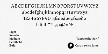 Textworthy Serif Font Poster 13